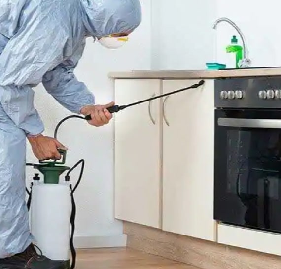 pest control melbourne